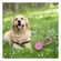imageUrl_4