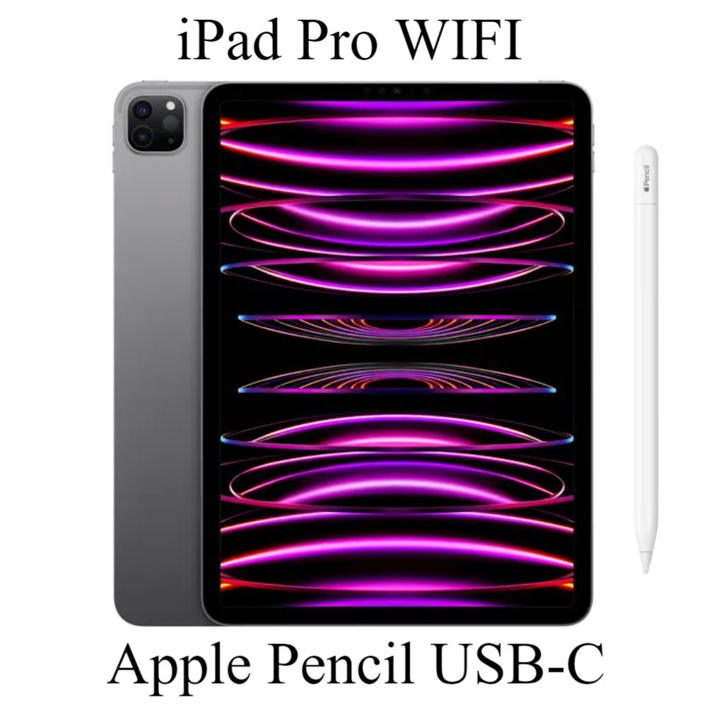 iPad Pro Wi-Fiモデル 256GB ＋ Apple pencil Apple iPad 10.2