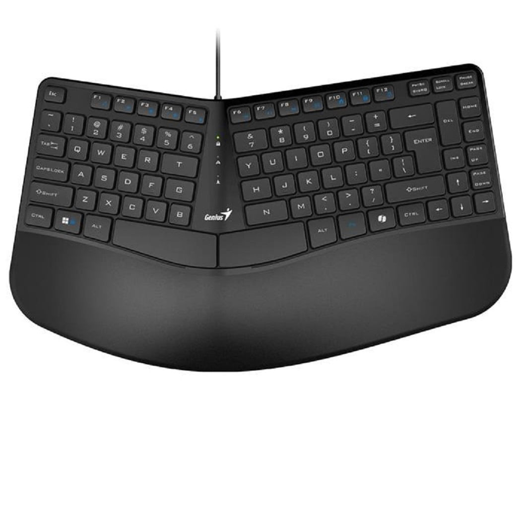 Teclado Genius Ergo Con Reposa Manos Kb700 C/tecla Copilot Usb Español