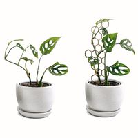 Soporte Panal Delgado para plantas Un Cuarto Verde parante tutor de 32cm
