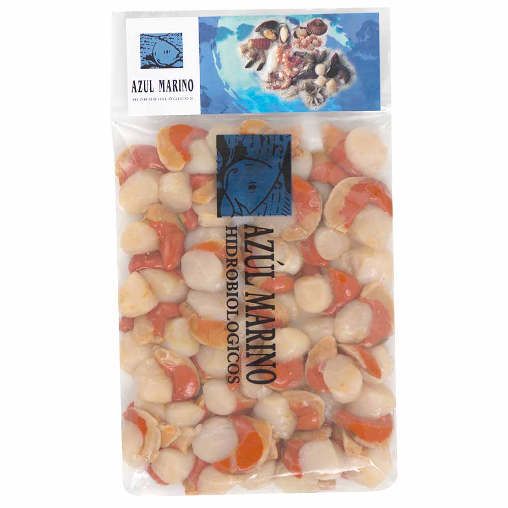 Conchas sin Coral AZUL MARINO Bolsa 500g
