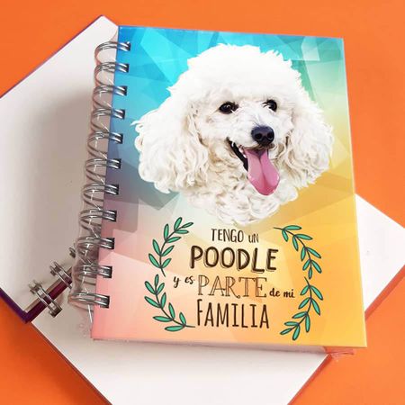 image-925a0fadb6a243bfbbaf1fa722ce7f39