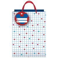 Bolsa de regalo Grande Disney Juvenil DGREGALOS
