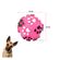 imageUrl_5