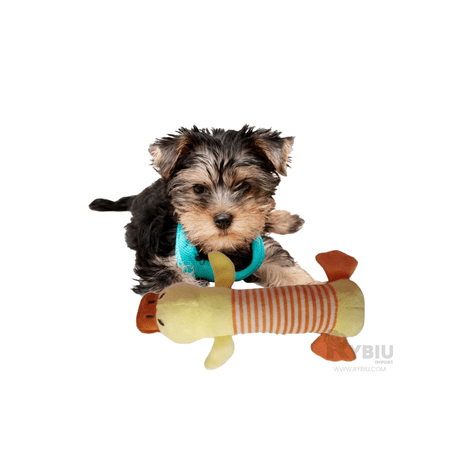 imageUrl_1