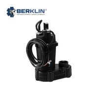 Bomba de agua Berklin sumergible fotovoltaica de 0.3 HP 12V