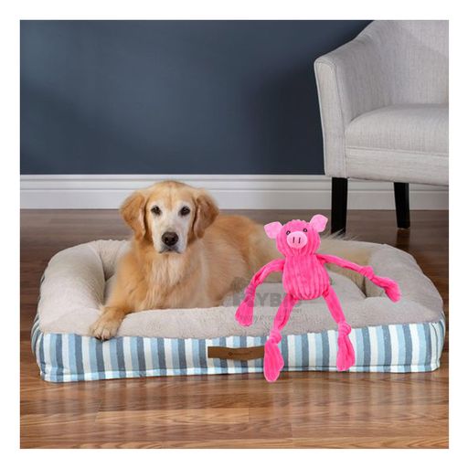 Peluche resistente para perros online