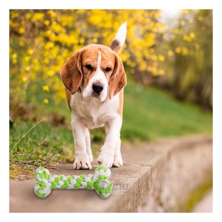 Juguete con Diseño Trenzado para Perro en Verde Y+Agendita