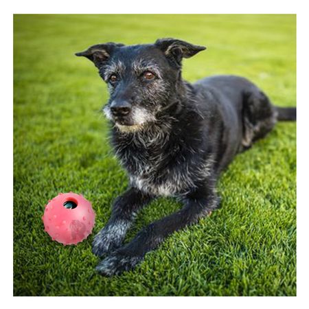 Juguete de Caucho para Perros en Color Rosado Y+Agendita