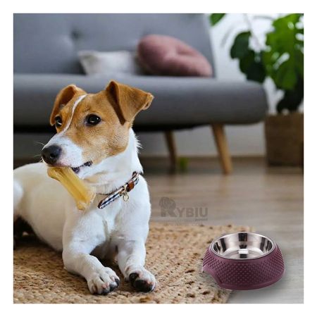 Plato Desmontable para Perro en Tono Purpura Y+Stickers