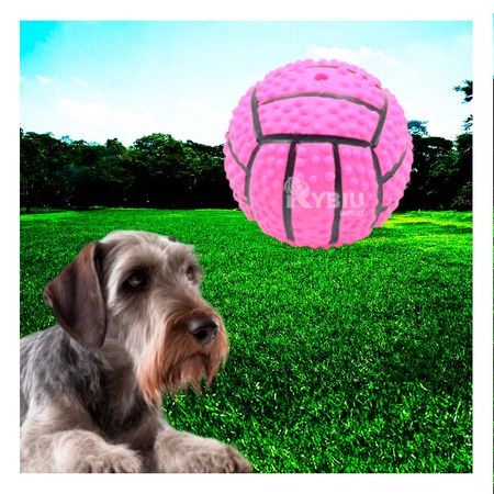 Pelota Llamativa con Relieve de Color Rosado Y+Agendita