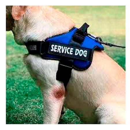 Arnes para Perro Talla XL en Tono Azul Y+Papel de Regalo