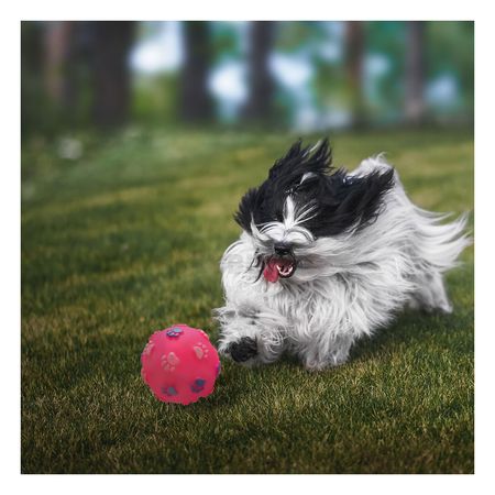 Pelota Chillosa para Perros con Esporas de Huellas en Rosado