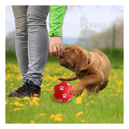 Pelota Antiestres para Mascotas en Rojo Y+Stickers