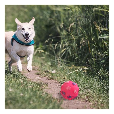 Pelota para Parque y Juegos Masticable en Rosado Y+Agendita