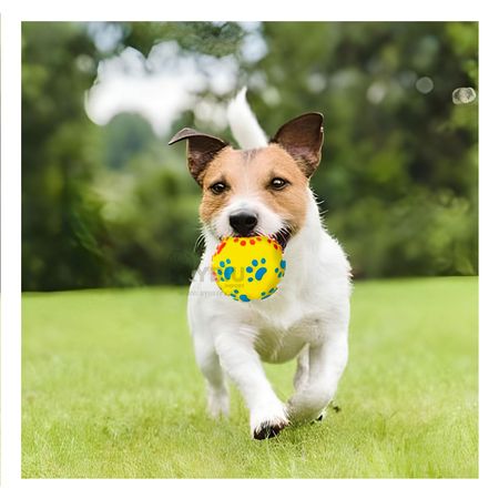 Pelota Resistente de Facil Uso Amarillo Talla L Y+Agendita