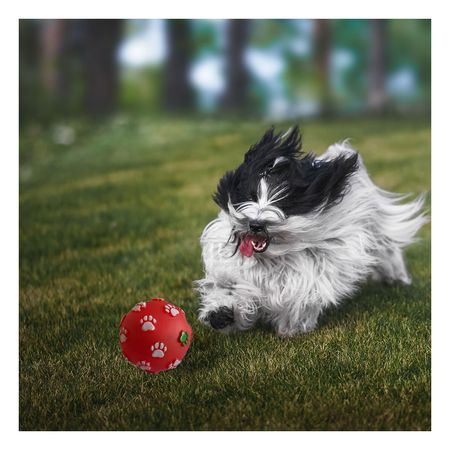 Pelota Chillosa para Perros con Esporas de Huellas en Rojo