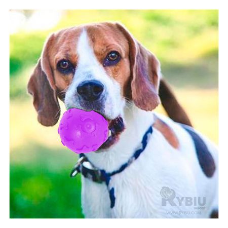 Pelota Suave con Relieve en Color Morado Y+Agendita