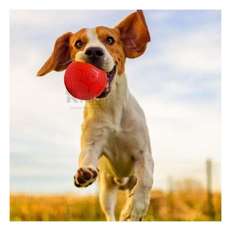 Pelota Compacta Talla S de Tono Rojo Y+Papel de Regalo