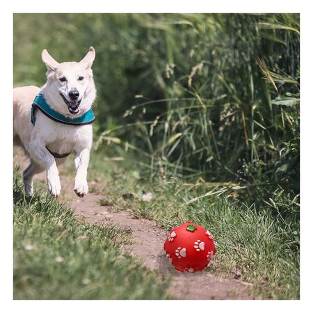 Pelota Masticable con Patitas en Tono Rojo Y+Papel de Regalo