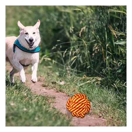 Pelota Didactica y Educativa de Color Amarillo Y+Agendita