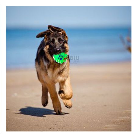 Pelota Pet Ligera Versatil en Talla L Verde Y+Agendita