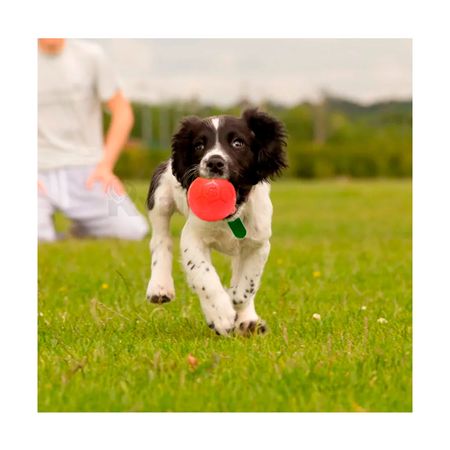 Pelota Lion de Jebe para Perro Talla M de Color Rojo