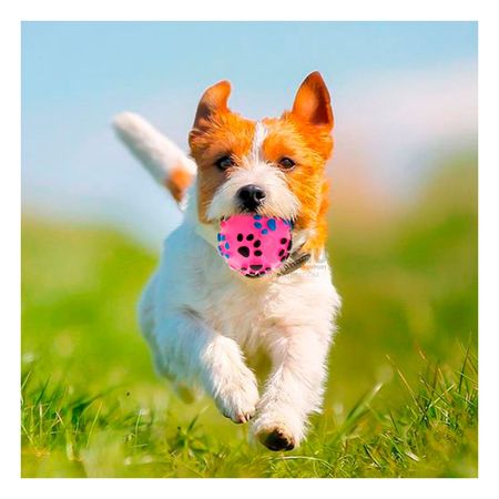 Pelota Pet con Huellas de Plastico en Color Rosado