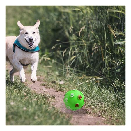 Pelota Antiestres para Mascotas en Verde Y+Stickers