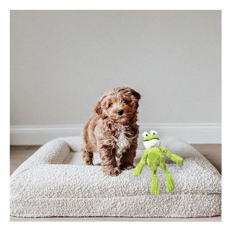 Peluche Didactico de Sapo Verde Limon Y+Papel de Regalo