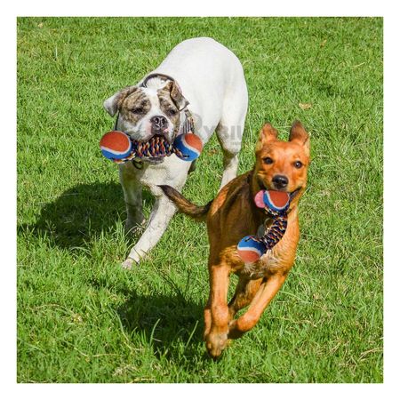 Juguete con Cuerda Resistente para Perro Naranja Y+Stickers