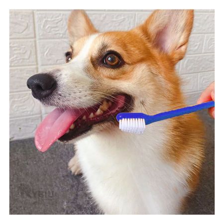Cepillo Dental con Doble Cabezal para Perro de 3 Piezas