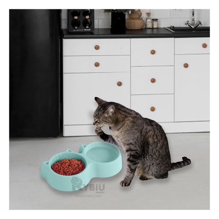 Plato Resistente para Gatos en Celeste Y+Papel de Regalo