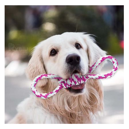 Cuerda Resistente para Cachorros en Rosado Y+Papel de Regalo