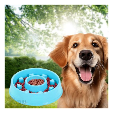 Plato Antiestres Circular para Mascotas en Color Celeste