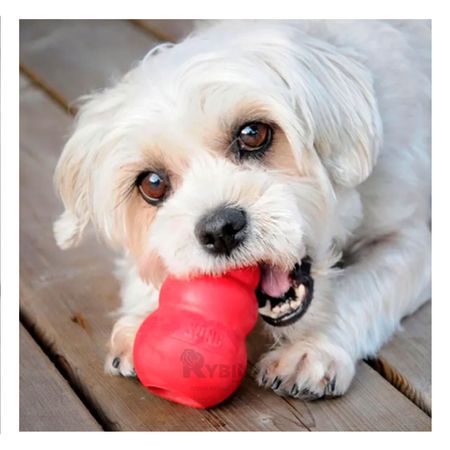 Juguete Pera Caucho para Perro 3 Bolas Rojo en Chico