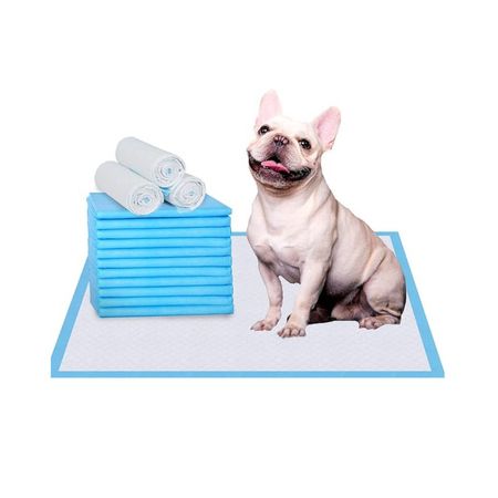 Pañal Para Perros Entrenamiento Absorbente 40 Unid - TALLA L