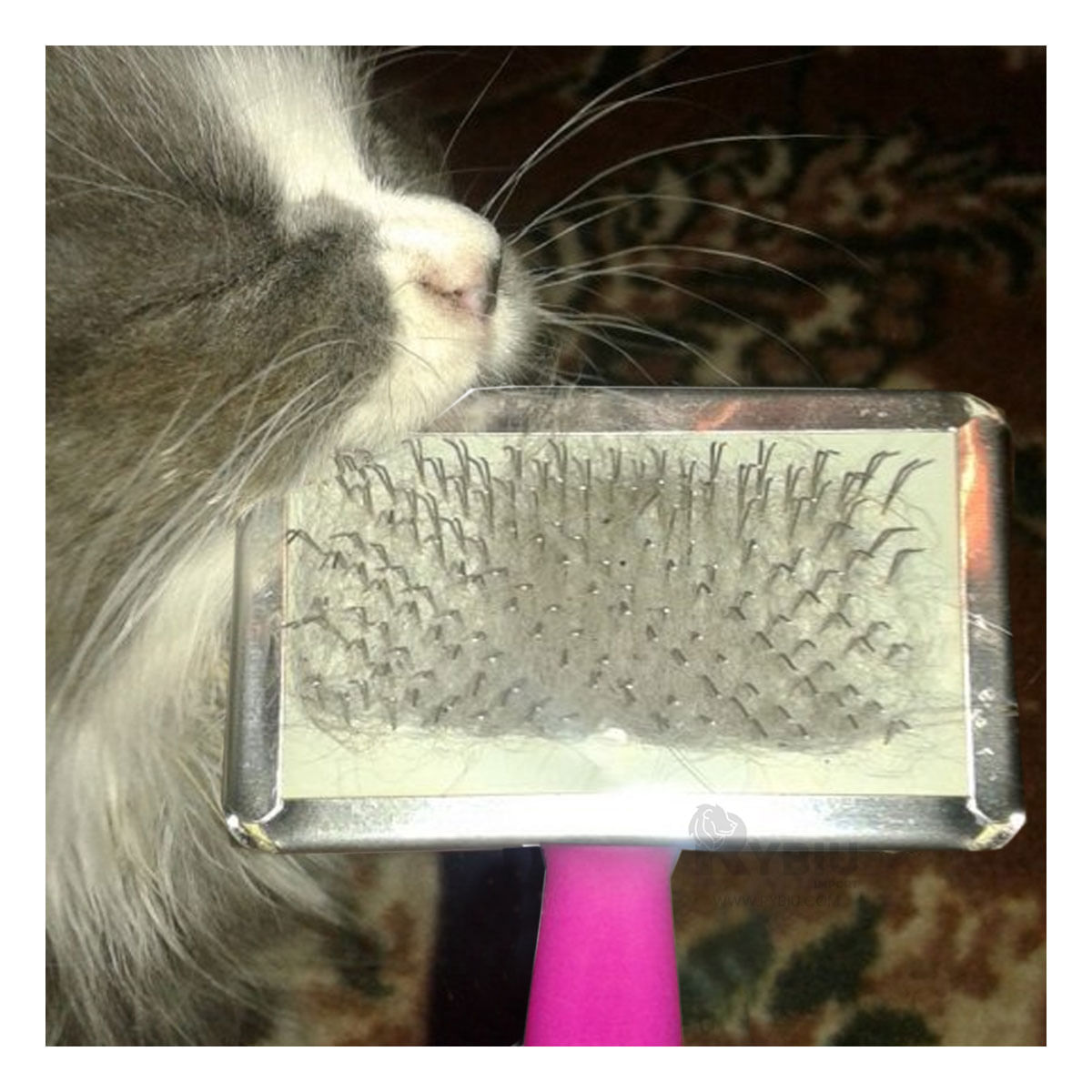 Peineta Portatil Pet para Pelo Talla M Fucsia Y+Agendita