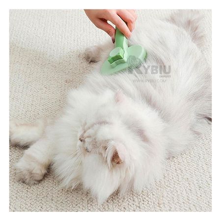 Cepillo Ergonomico para Gatos Verde Y+Papel de Regalo Peineta para Limpiar Pelo de Gato Verde Y+Post-it adhesivos