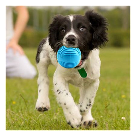 Balon Sencillo de Guardar en Celeste Y+Post-it adhesivos