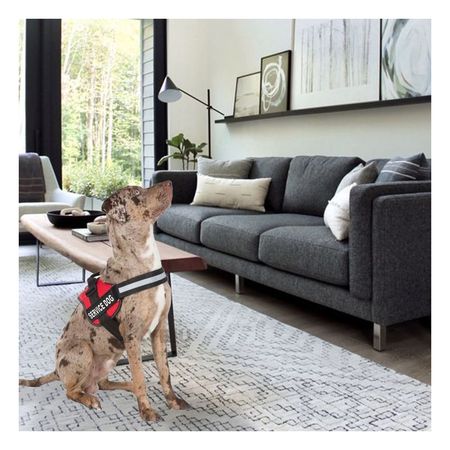 Arnes Pechera Service Dog Talla L Seguro en Color Rojo