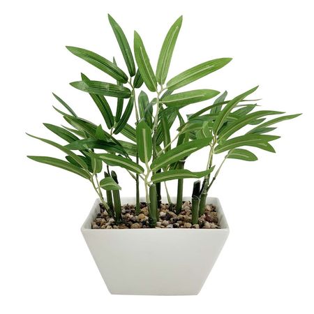 Planta Bamboo Pot Cerámica 25 cm