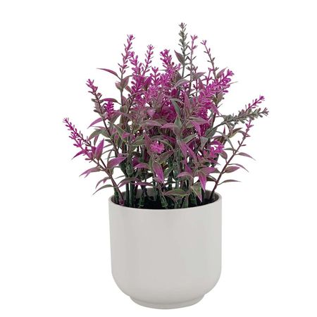 Planta Lavanda 23 cm