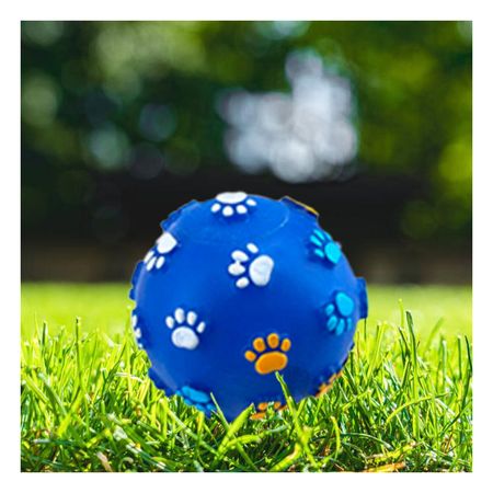 Pelota para Jugar Pet en Color Azul Y+Stickers