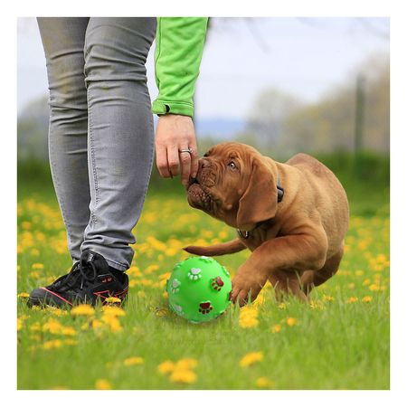 Pelota para Parque y Juegos Masticable en Verde Y+Agendita