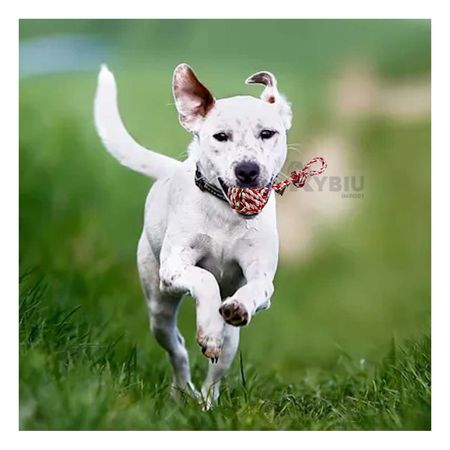 Juguete con Pelota y Soga con Agarradera Rosado con Rojo