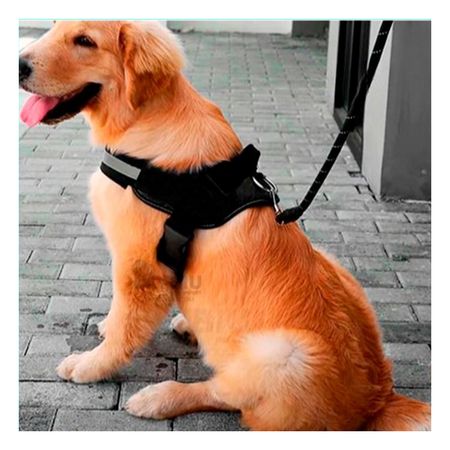Pechera de Perros Talla XL en Negro Y+Post-it adhesivos