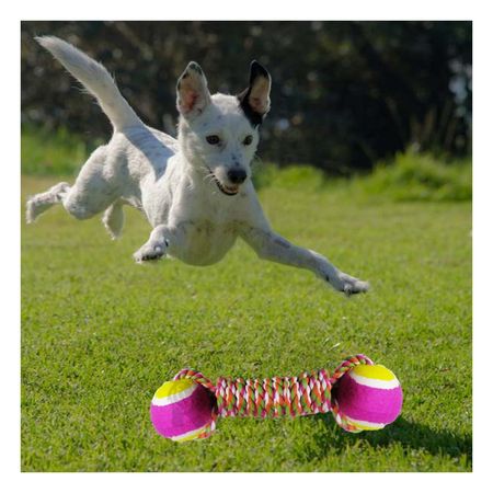 Juguete de Cuerda y Pelota en Tono Rosado Y+Papel de Regalo
