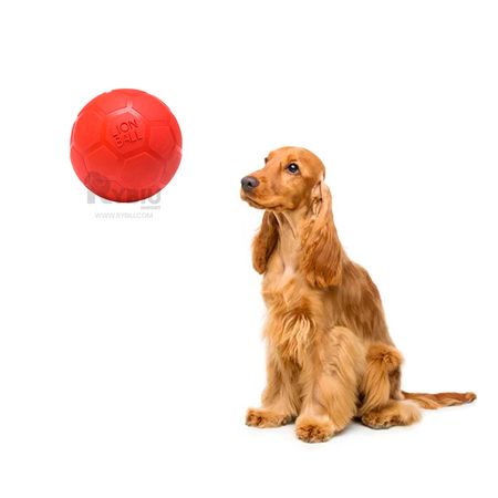 Pelota Resistente a Mordida en Talla M en Rojo Y+Stickers