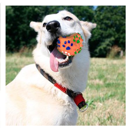 Pelota Resistente Pet de Facil Uso de Naranja Y+Agendita